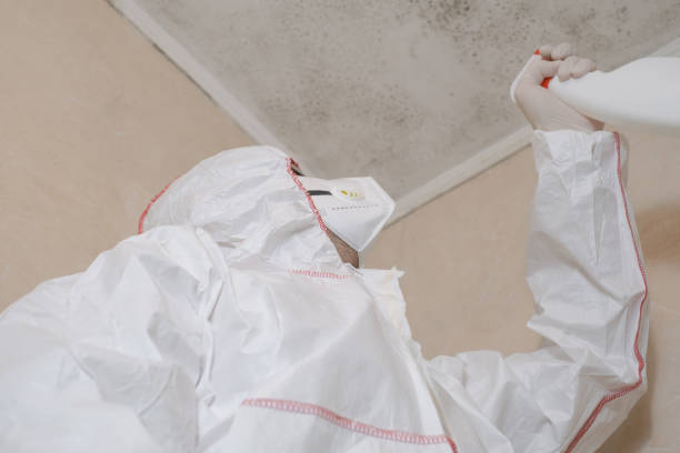 Crawl Space Mold Removal in Lake Havasu City, AZ